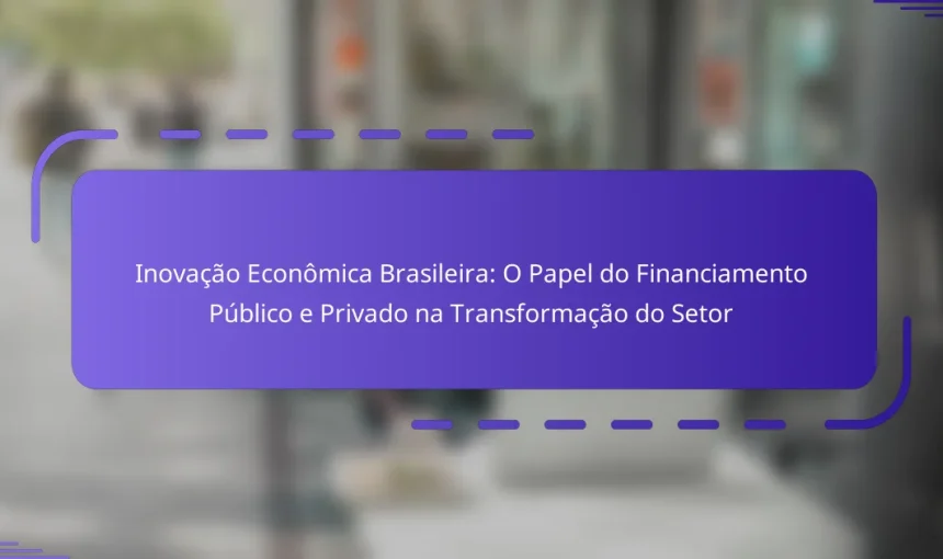 Inovação Econômica Brasileira: O Papel do Financiamento Público e Privado na Transformação do Setor