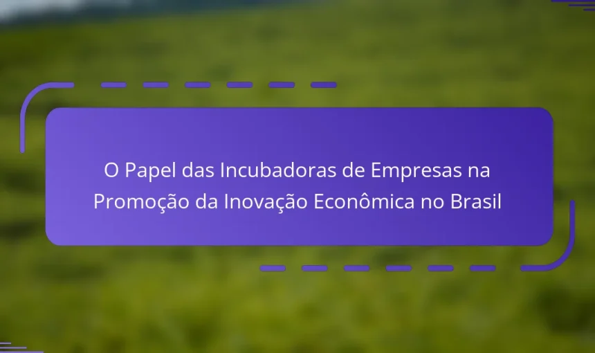O Papel das Incubadoras de Empresas na Promoção da Inovação Econômica no Brasil