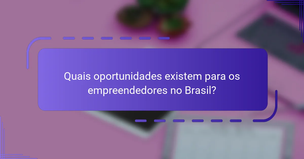 Quais oportunidades existem para os empreendedores no Brasil?