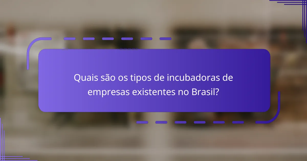 Quais são os tipos de incubadoras de empresas existentes no Brasil?